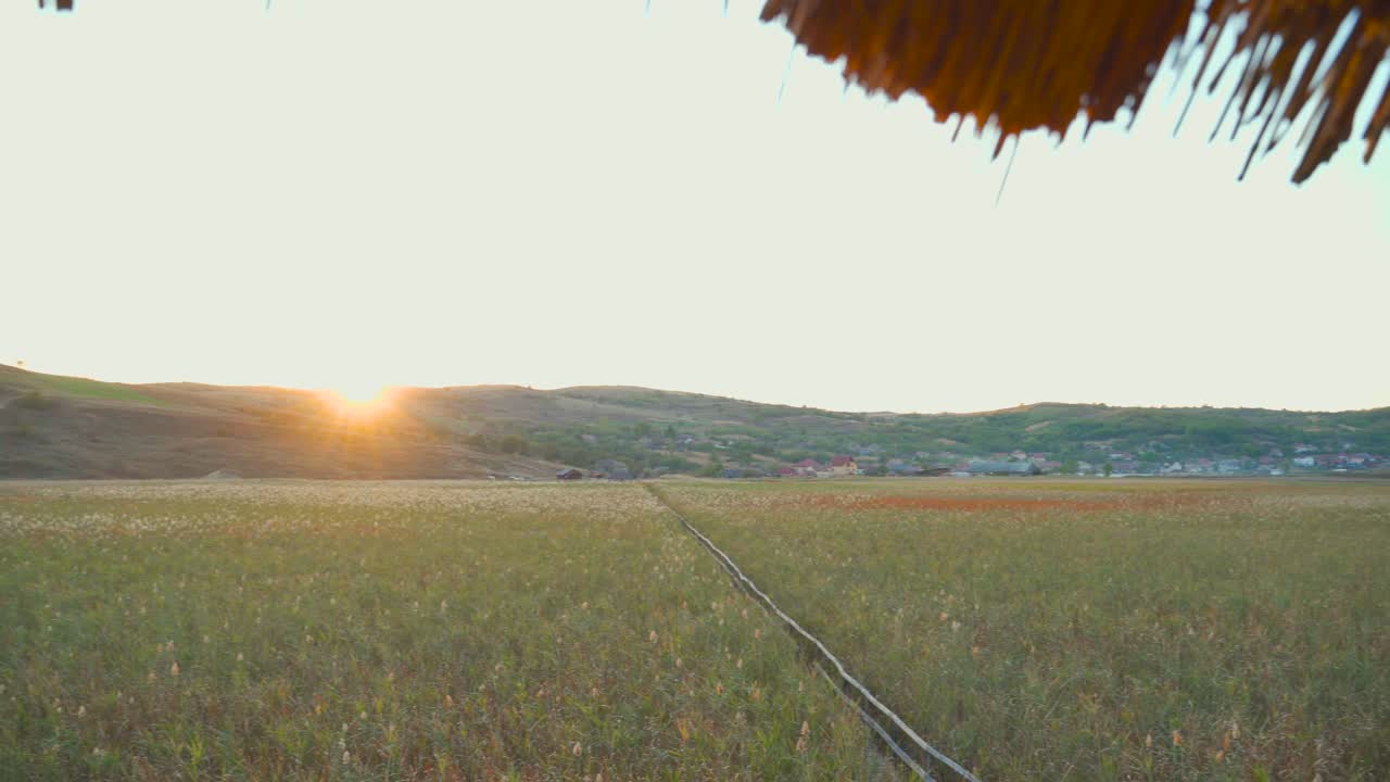 View from inside wooden thatched roof lookout tower at green feather grass in meadow by hillside at sunset, circle handheld pan