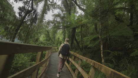 blond woman traveler exploring wooden boardwalk trail at hokitika gorge