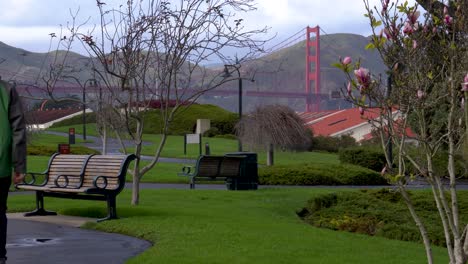 El-Joven-Se-Sienta-En-Un-Banco-A-La-Vista-Del-Puente-Golden-Gate-En-El-Presidio-De-San-Francisco-Durante-El-Día