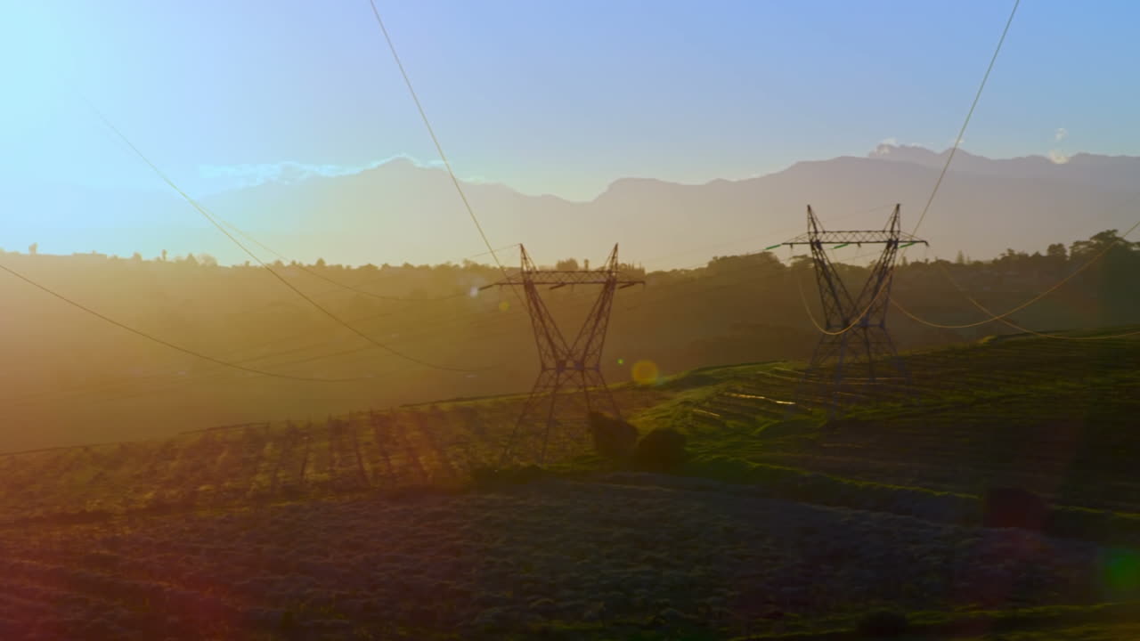 animación del globo con red de conexiones y procesamiento de datos sobre pilones