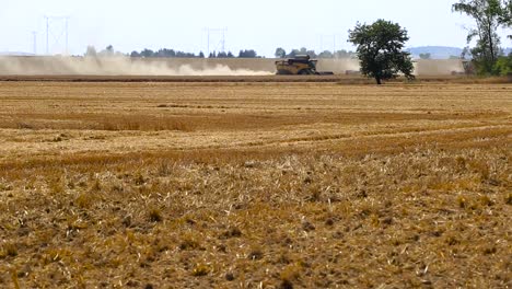 tractors harvesting after a wildfire extinguished by firefighters