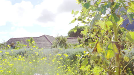 Mature-Woman-Working-On-Community-Allotment