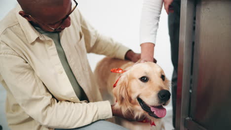 dog examination