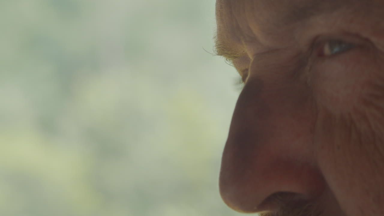 ojo para los detalles artista checo creando una obra maestra de obras de arte al carboncillo