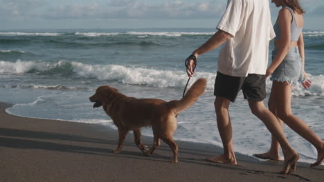 walking dog along sunny ocean coast