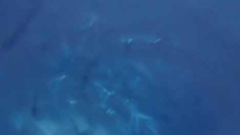 líneas de movimiento abstracto azul de fluido azul