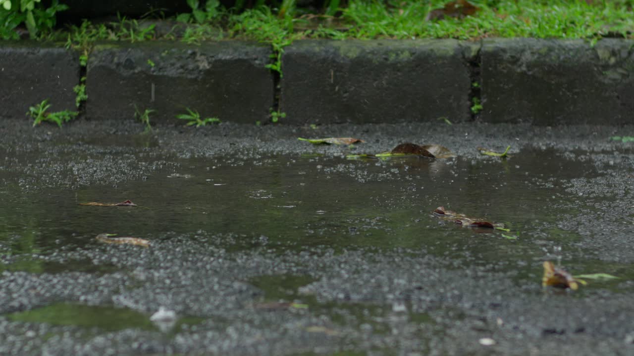 Raindrops splashing on a wet pavement in slow motion on a rainy day