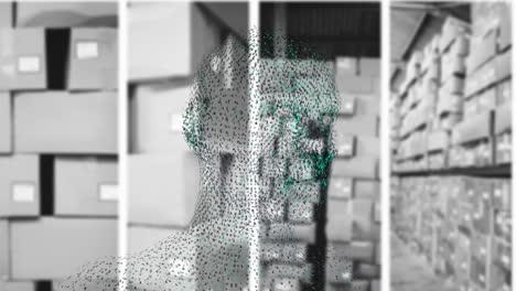 Animation of digital head over warehouse