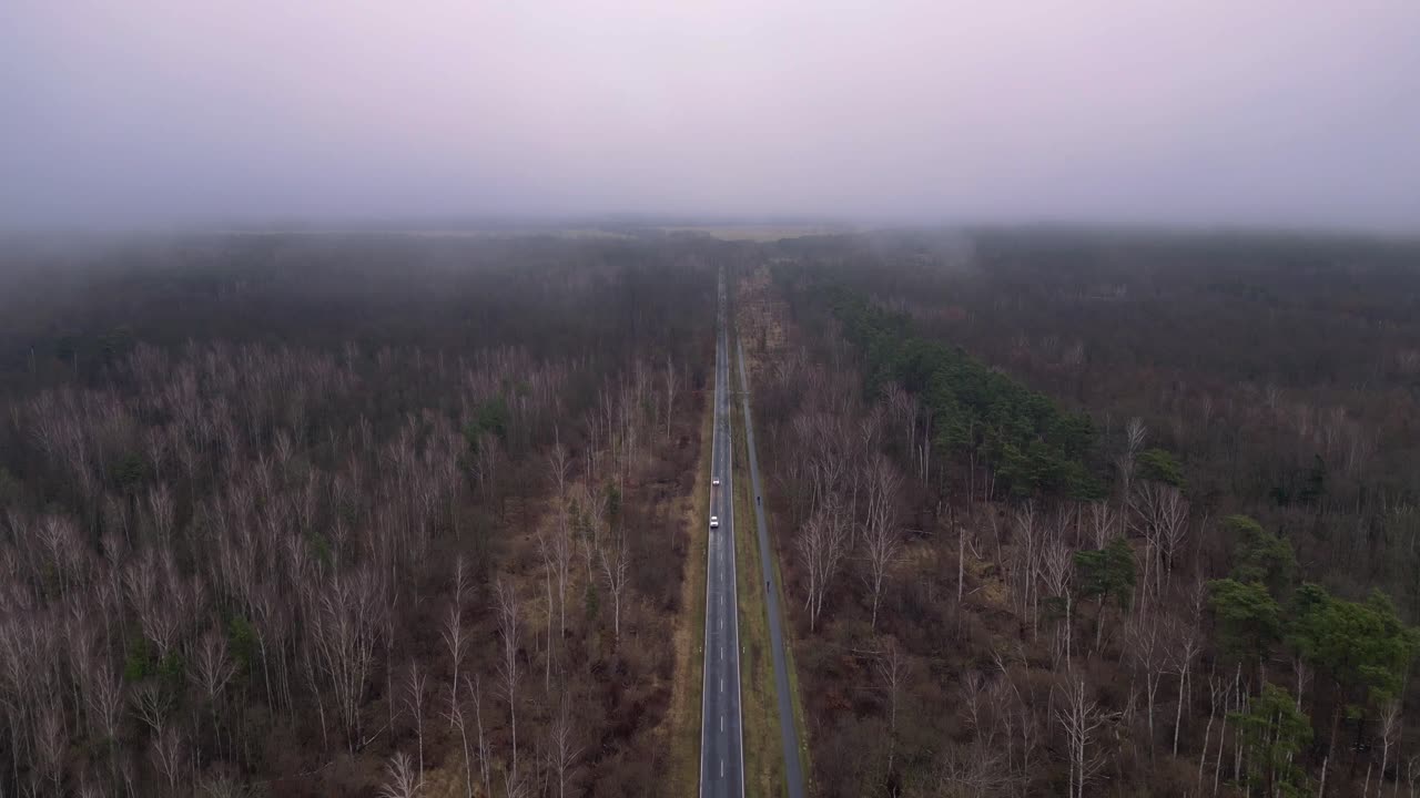 겨울에 안개와 함께 숲을 가로지르는 직선 도로. 위에서 촬영된 웅장한 공중 전망 비행 드론 영상