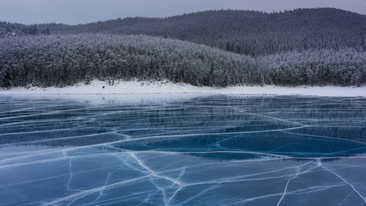 Stunning Frozen Lake with Intricate Ice Cracks and Snowy Forest