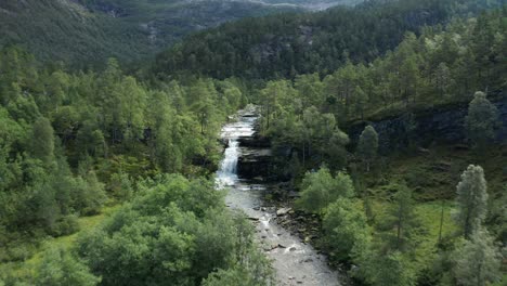 Flying-above-protected-watercourse-with-clean-water-and-beautiful-small-waterfalls---Forward-moving-aerial-in-forest-with-green-trees-and-wilderness-atmosphere