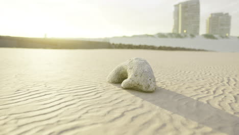 Sand formation resembling a seal on a sunlit beach at sunset