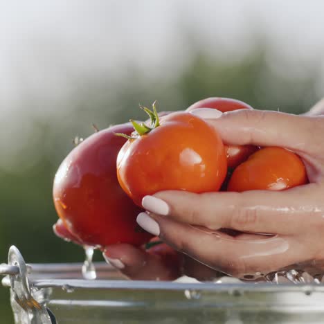 mujer lava algunos tomates frescos en el agua