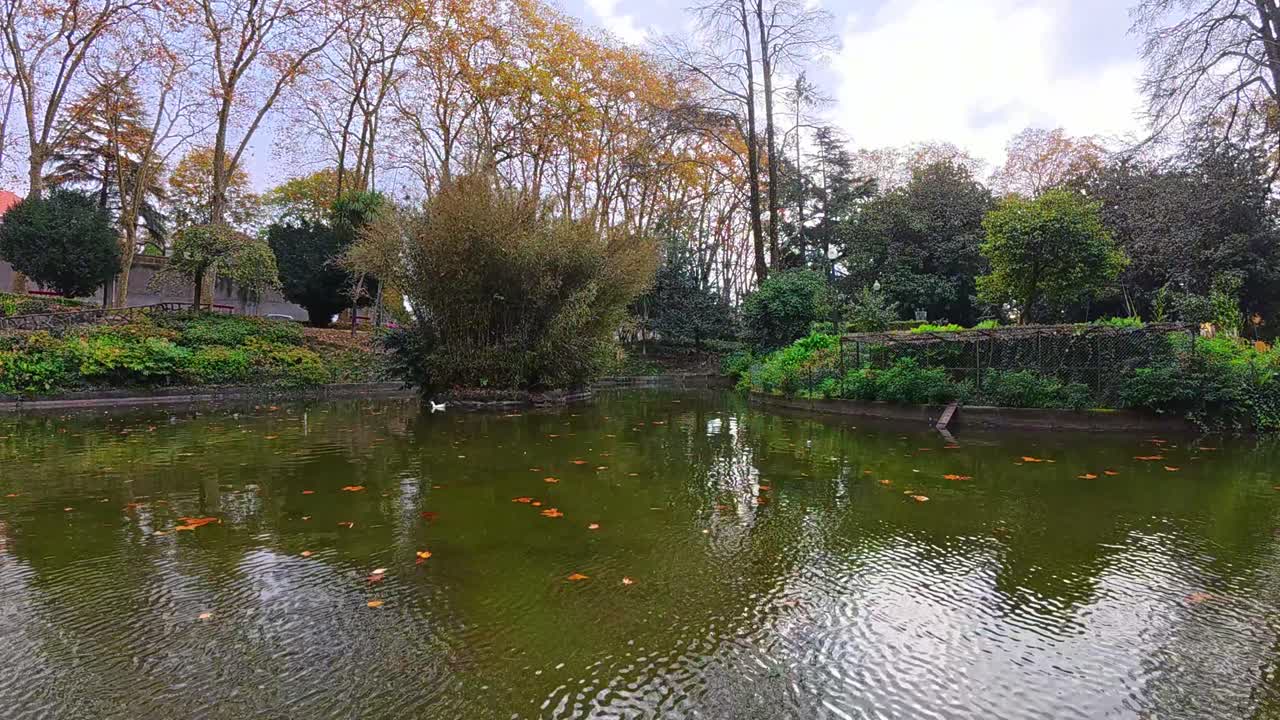 Watch as autumn unfolds in fast motion-a peaceful city park pond, golden leaves, and ducks gliding across the water. This timelapse captures the tranquil rhythm of fall in the heart of the city