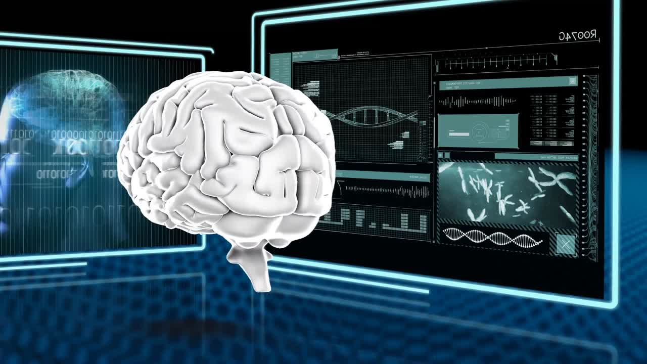 디지털 인간 뇌