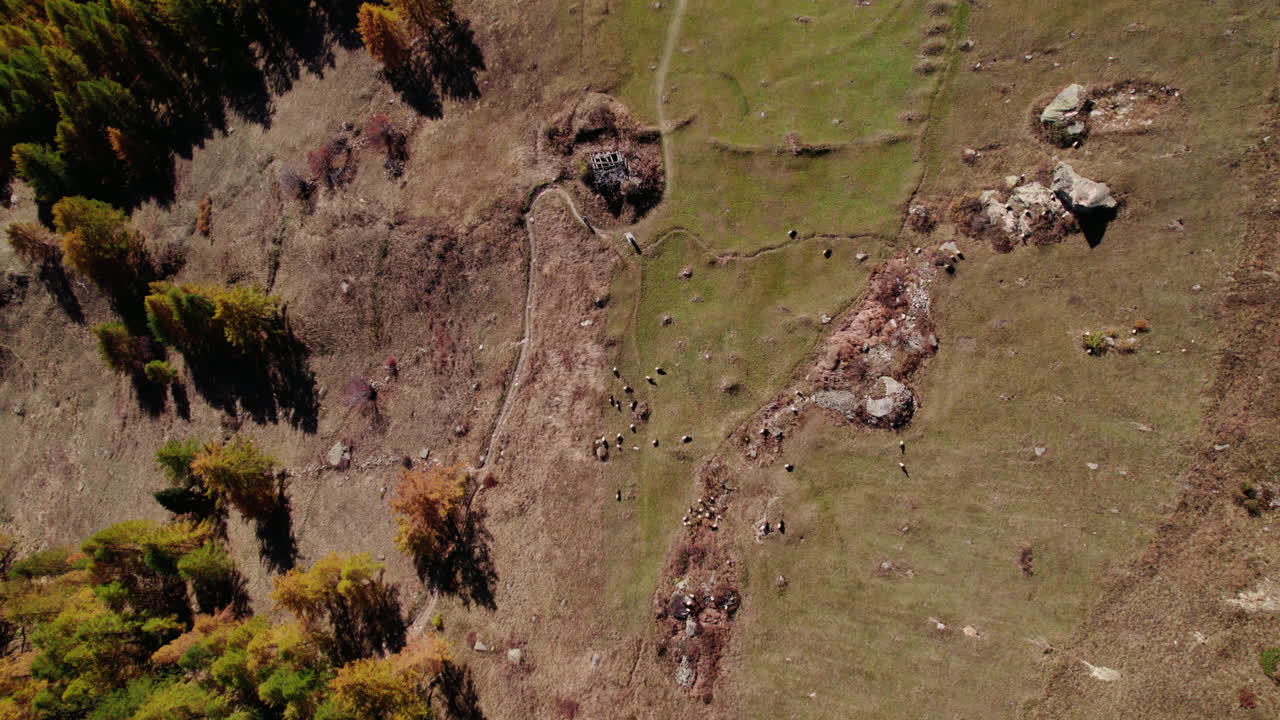 Top down shot of a hill with goats roaming around, Lötschental, Switzerland