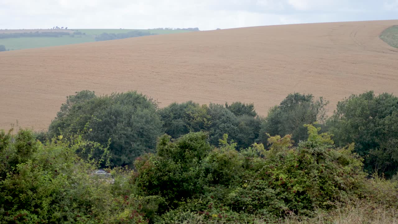 나무 와 언덕 이 있는 조용 한 들판