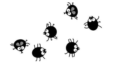graciosos insectos negros que se arrastran en blanco, dibujos animados en 2d, bucle sin costuras