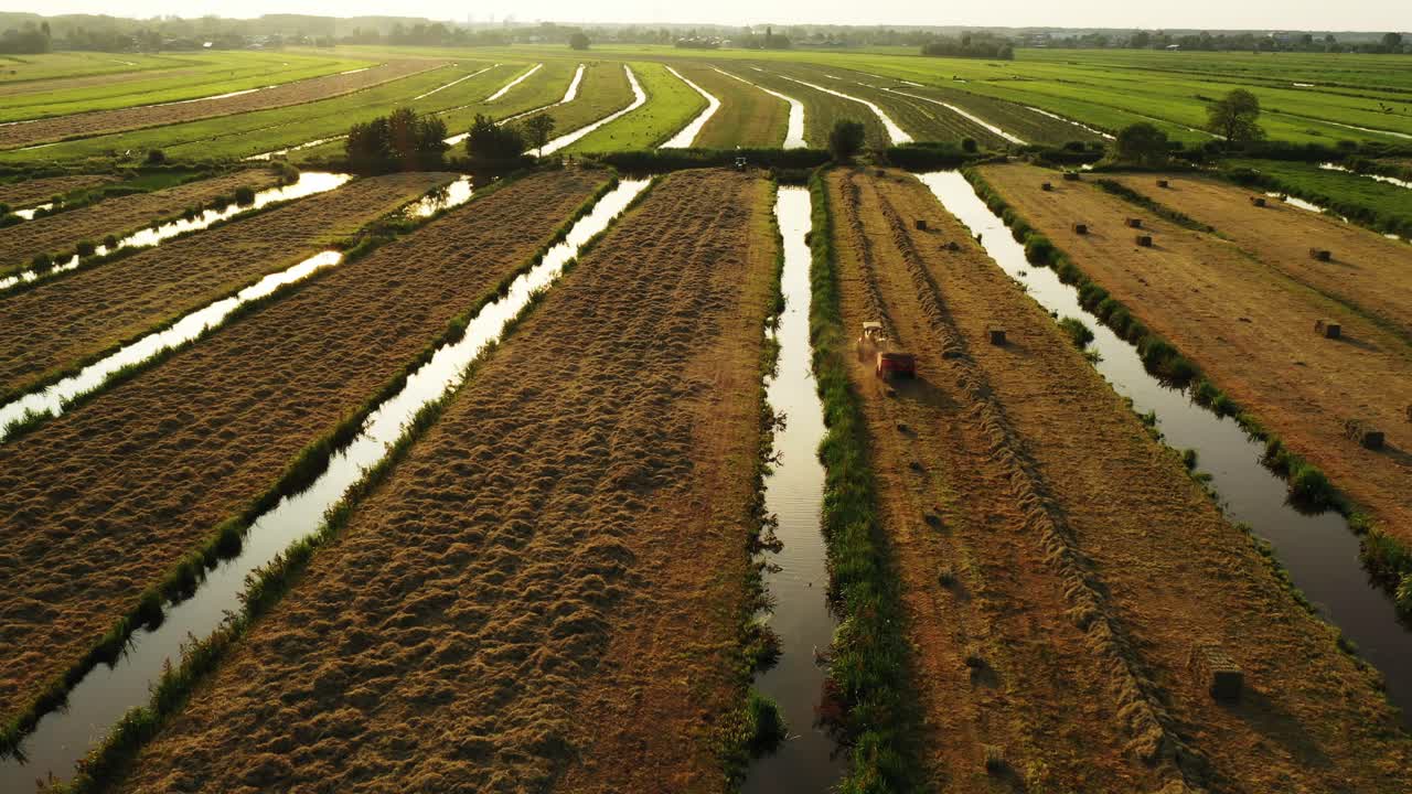 cosecha de heno en los polderes holandeses