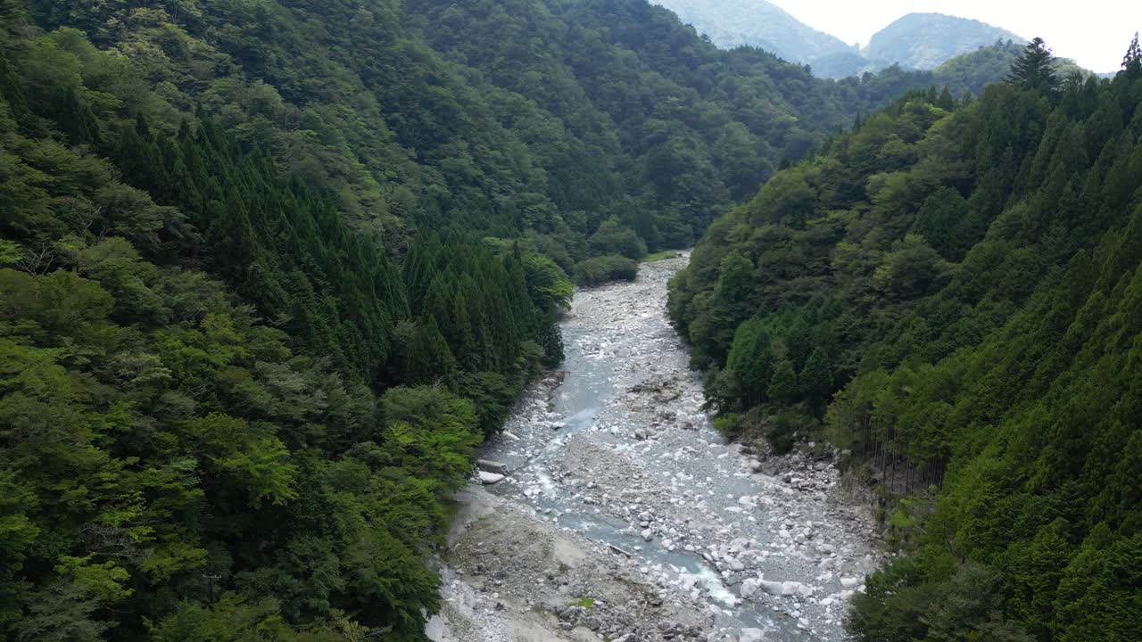 Stunning cinematic drone flight over wide riverbed in unspoiled green forest