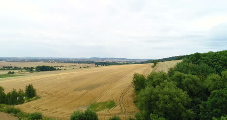 Rodaje-Aéreo-De-Campos-De-Trigo-1