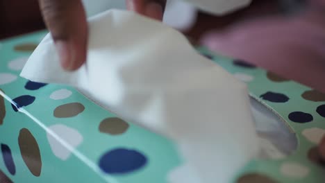 caja de pañuelos con pañuelos