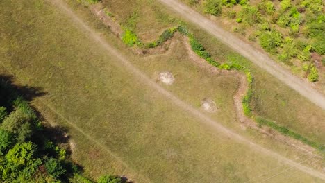 vista aérea del campo de murciélagos gigantes en natterer&#39;s wood, inglaterra - disparo descendente de drones
