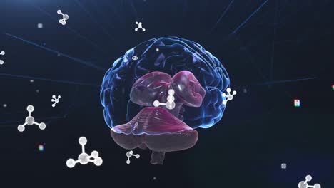 animation of molecules over digital brain on black background