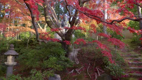 cinematic dolly toward buddha statue flanked by vibrant fall colors