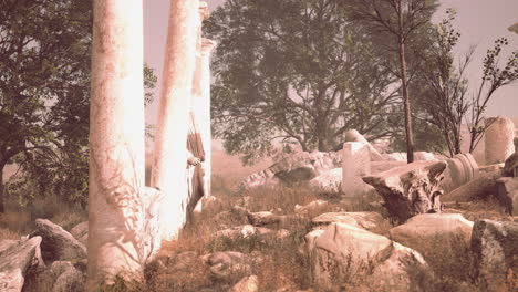 ancient roman ruins with broken statues