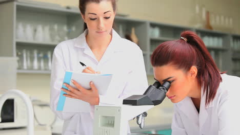 estudiante de ciencias mirando en un microscopio mientras su compañero de clase está escribiendo