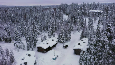 aerial view of snow-covered forest and cabins in winter
