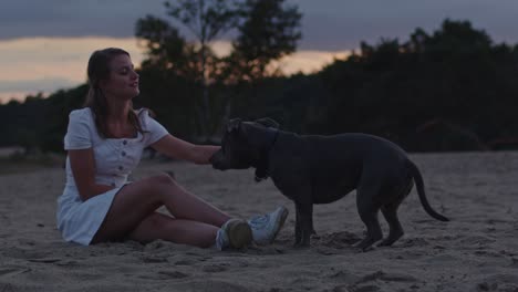 young woman petting american staffordshire terrier in sand dunes at dusk