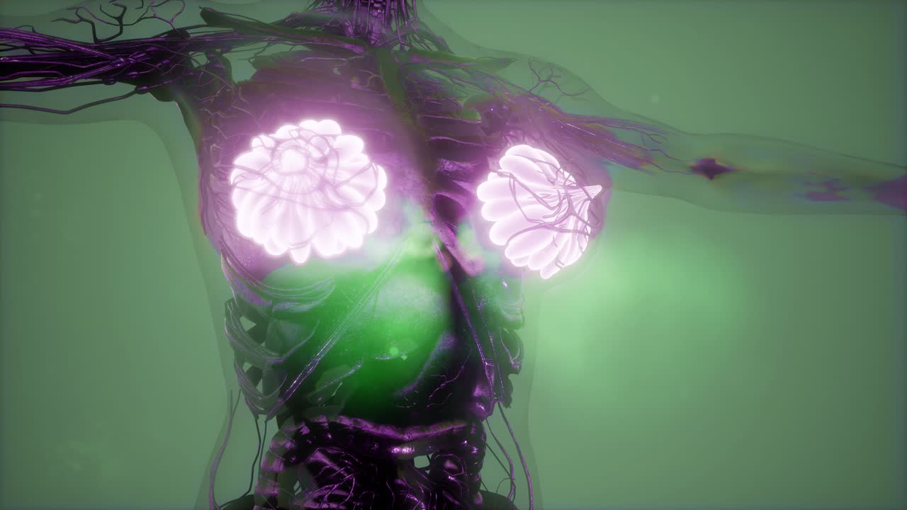 cuerpo humano con brillo visible glándula mamaria