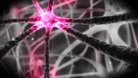 neurona que viaja a través del sistema nervioso