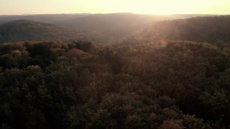 aerial footage over green autumn forest in poland, gdynia