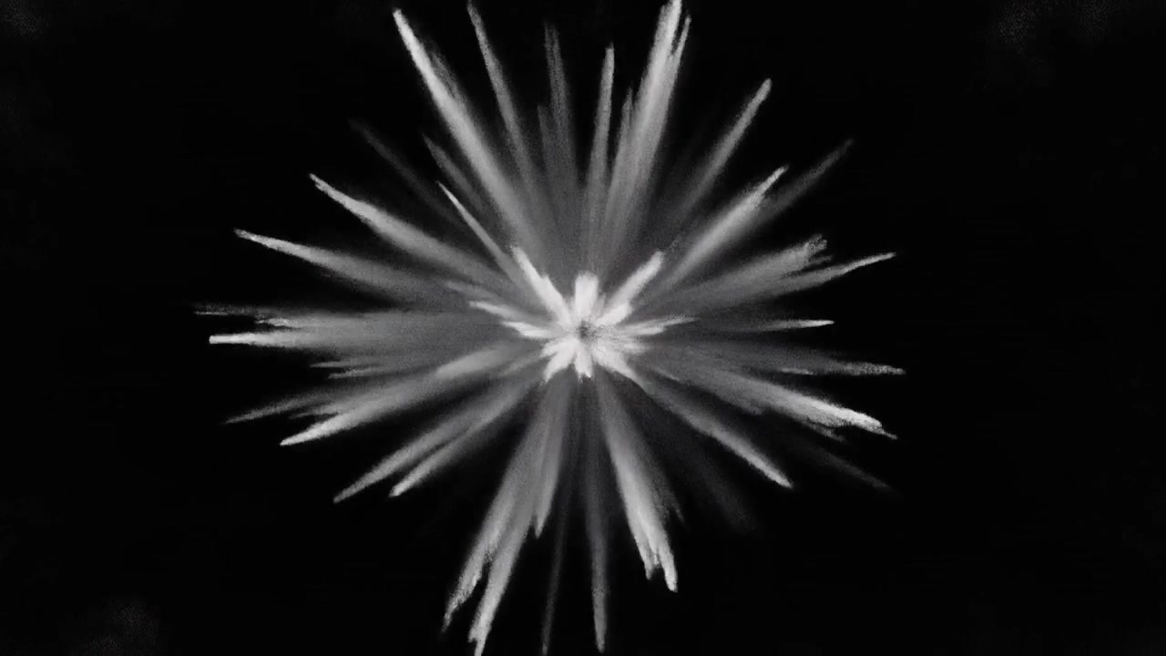 黒い背景の白い粉の爆発