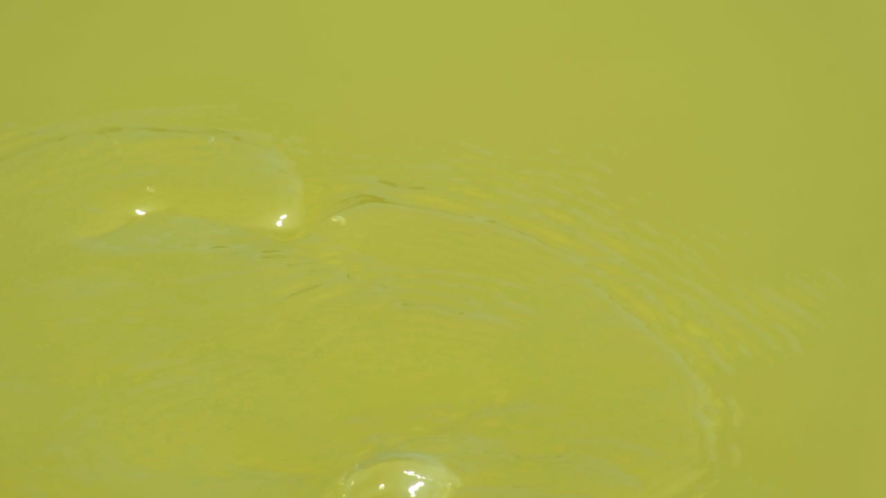 Green puddle frog in shallow muddy water Bangladesh native species
