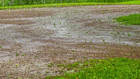 Close-up-shot-over-gravel-pathway-in-rural-landscape-on-a-rainy-day