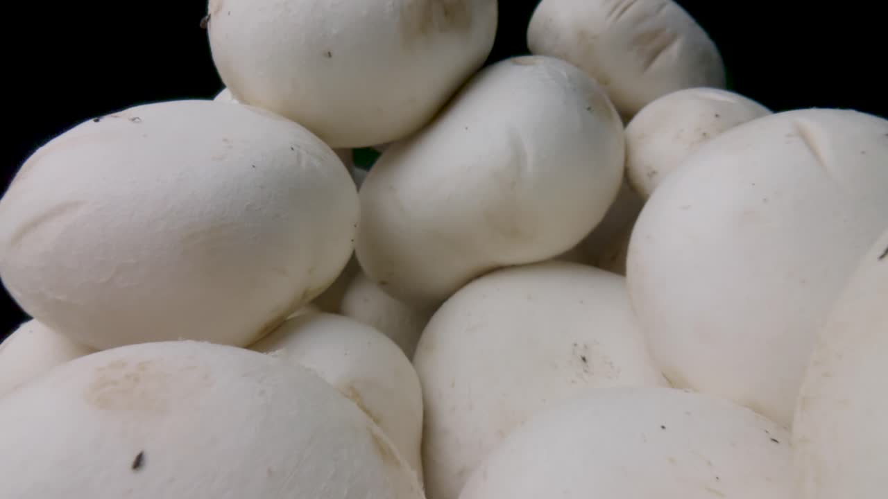 Macro slide champignon mushrooms on a black background. Probe lens dolly shot. Organic food concept. The camera moving through a pile of mushrooms. Close-up. Type J.