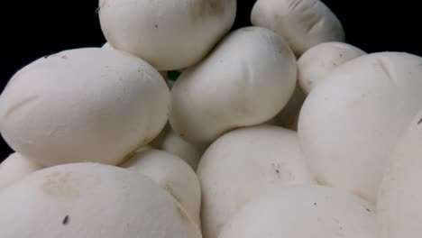 macro slide champignon mushrooms on a black background. probe lens dolly shot. organic food concept. the camera moving through a pile of mushrooms. close-up. type j.