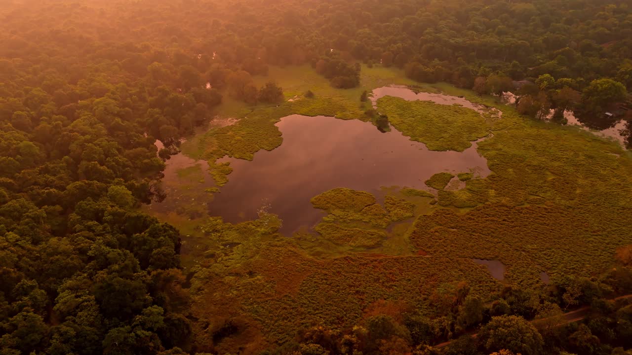 A peaceful drone shot of Sigiriya Rock rising above the Sri Lankan jungle at dawn.