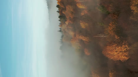 Vertical-video-flying-over-foggy-mountain-forest-in-vibrant-autumn-color