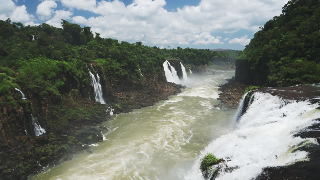 cataratas iguazu en brasil, vista de árboles altos y gruesos en una hermosa selva tropical verde, largos ríos grandes fluyen desde enormes cascadas en condiciones climáticas azules soleadas en américa del sur