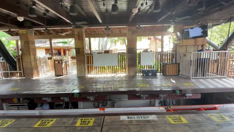 florida roller coaster goes forward then backwards at the amusement park