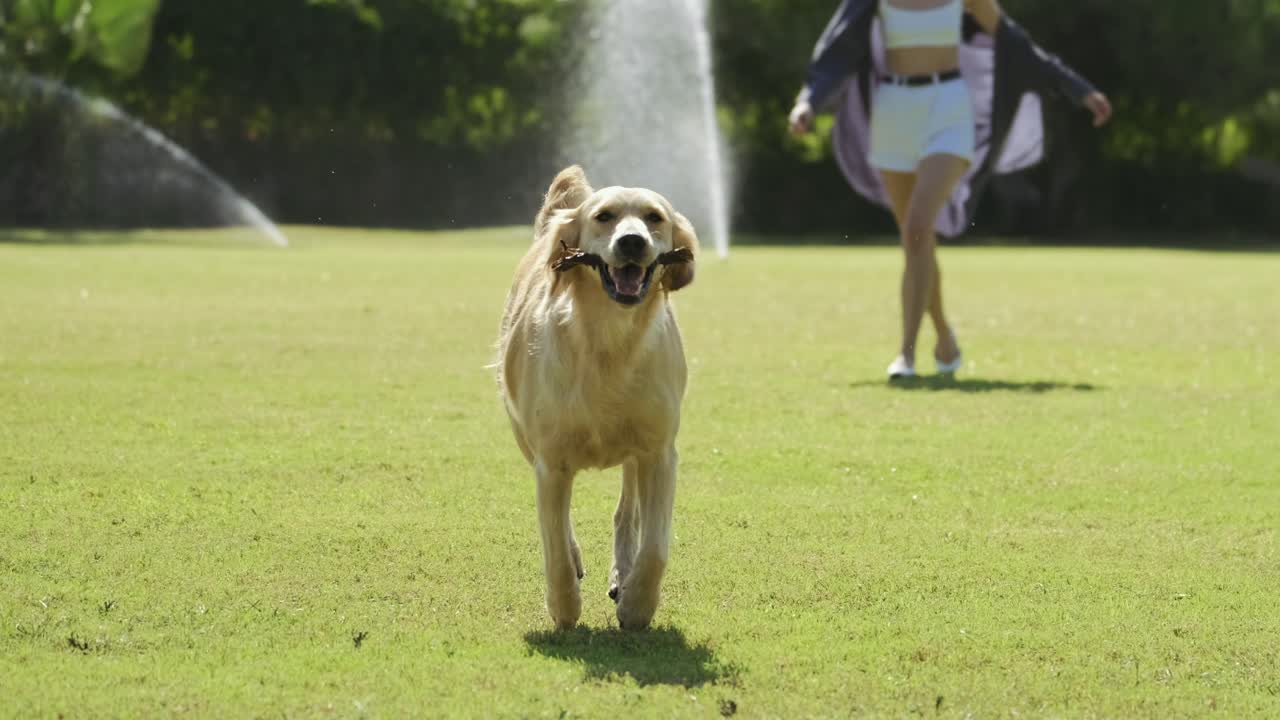hermosa chica jugando con su feliz perro golden retriever al aire libre en el parque de verano