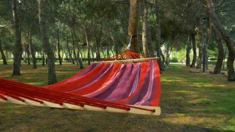 una hamaca de rayas rojas en un parque cerca de otros entre árboles