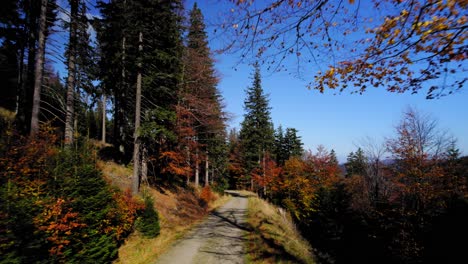 stunning-drone-video-shots-europe-nature-in-lover-silesian