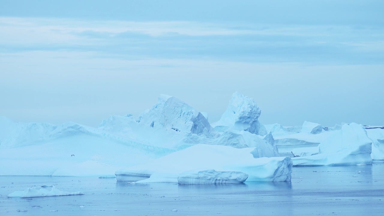 驚くほど美しく劇的な氷と雪に覆われた冬の南極の風景の中、氷山を飛び越える海鳥たちのスローモーション映像。