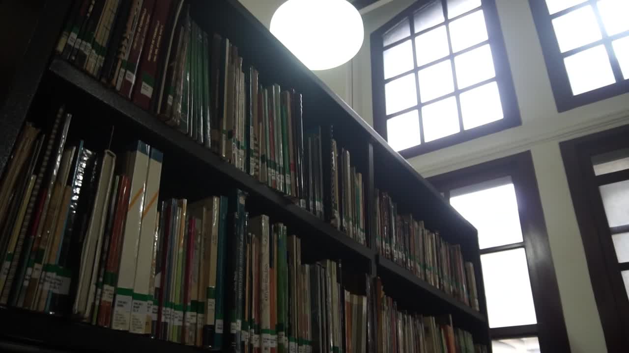 librería con una antigua estructura gótica, silenciosa y pacífica